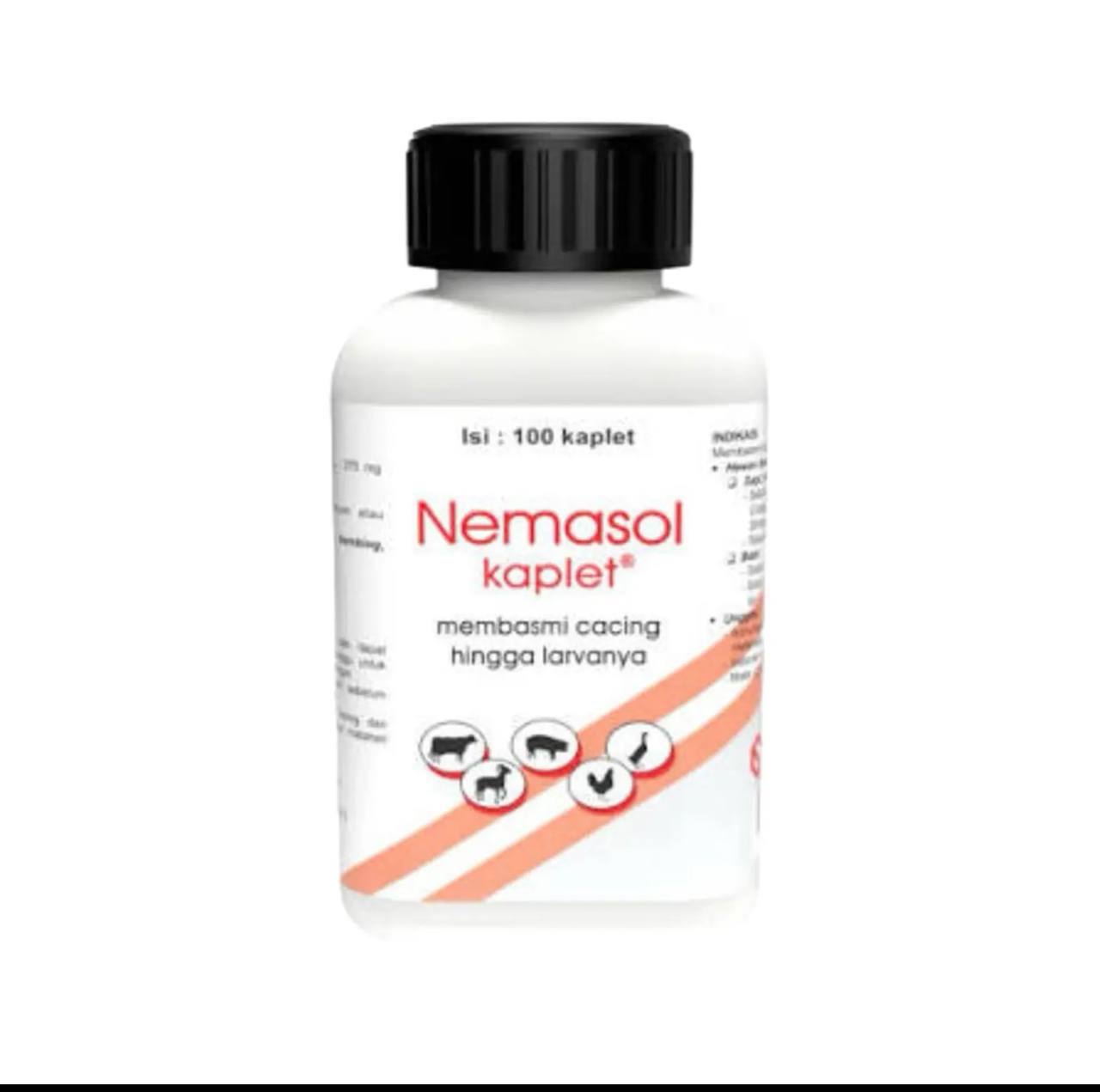 Nemasol Kaplet (Albendazole)